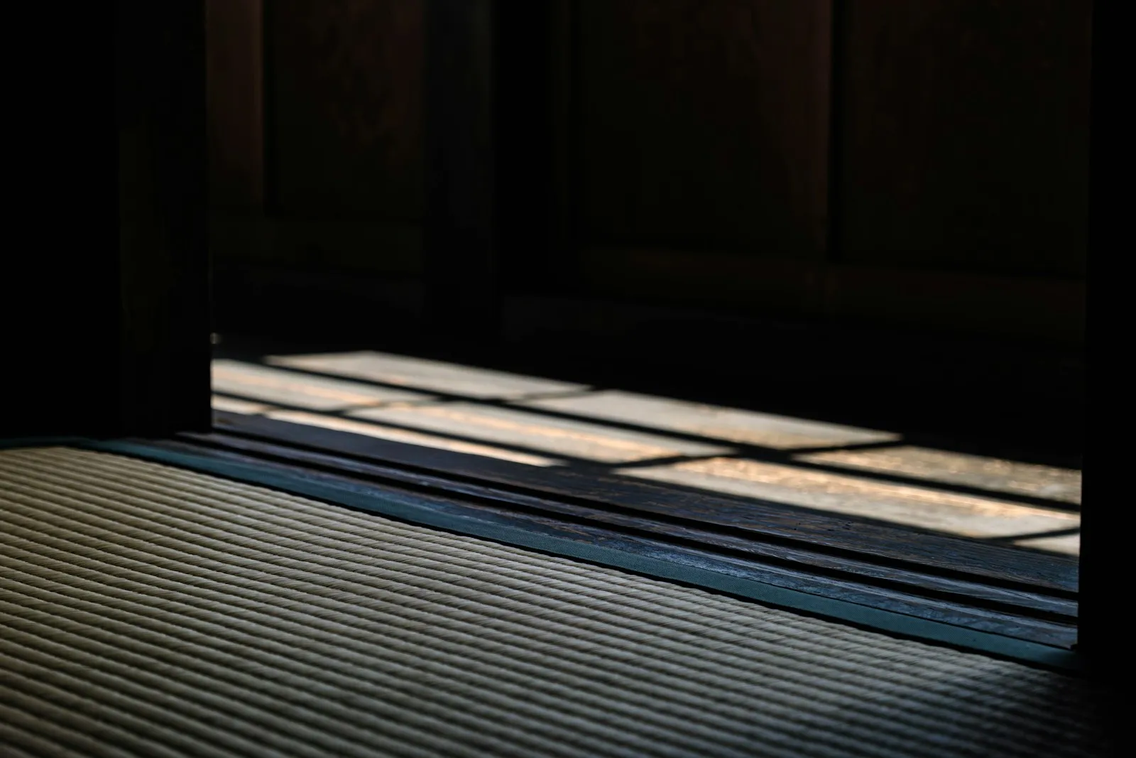 引き戸から差し込んだ光が当たる畳の床と、縁側の板張り